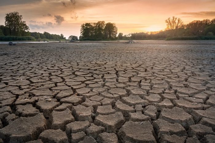 European Commission: "Current drought appears to be the worst since at least 500 years"