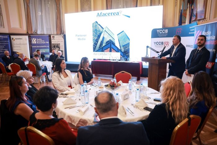 Performance of companies  in the 3rd sector awarded by The Chamber of Commerce and Industry of the City of Bucharest (CCIB)